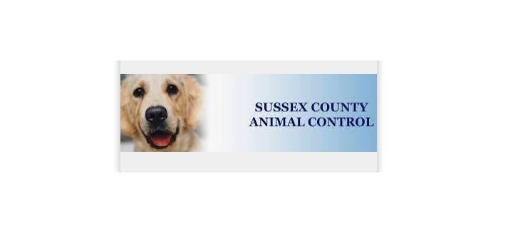 Sussex County Animal Control